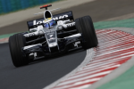 Nico Rosberg (30 artikelen)