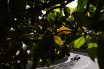 Sebastian Vettel, Scuderia Toro Rosso, Monaco 2009