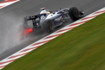Williams (164 foto's)