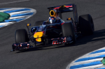 Daniel Ricciardo (97 foto's)