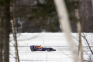 Sebastien Buemi at Red Bull�s Frozen One